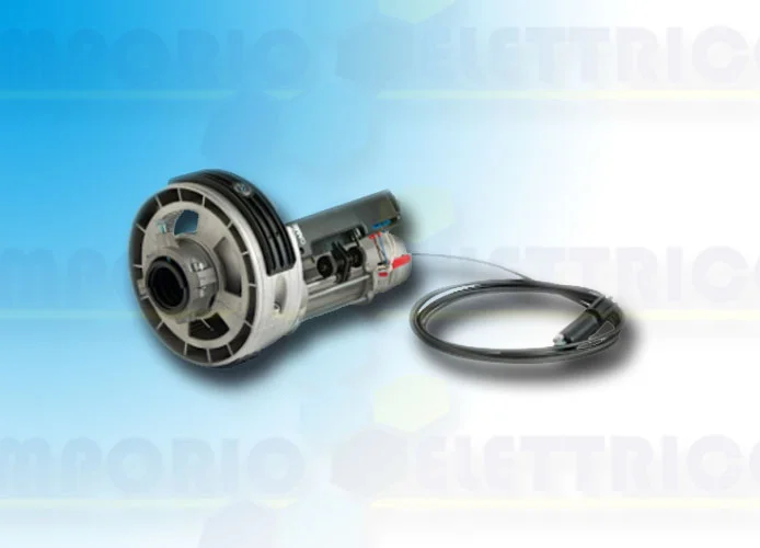 came página repuestos para motores h40
