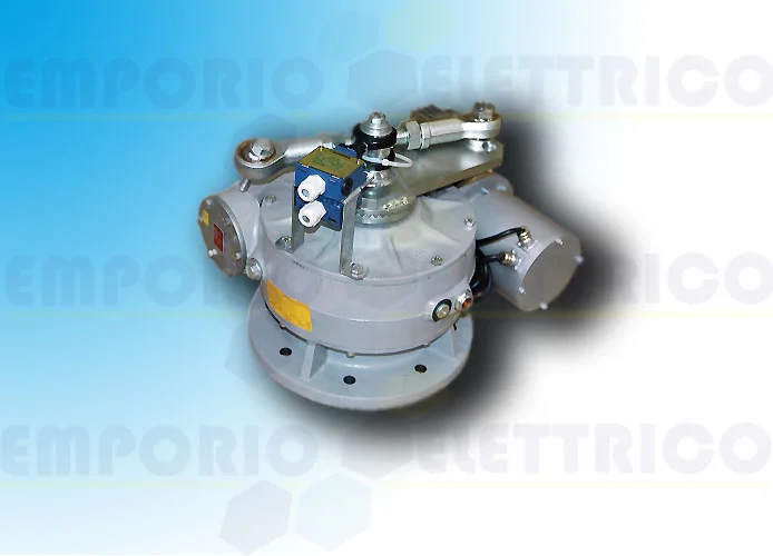 came página repuestos para motor frog-md