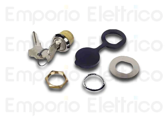 faac desbloqueo externo con llave personalizada 424550001/50