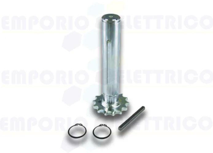 bft piñón para reducción de puertas industriales pig 18/ulisse s 2600966 n733339